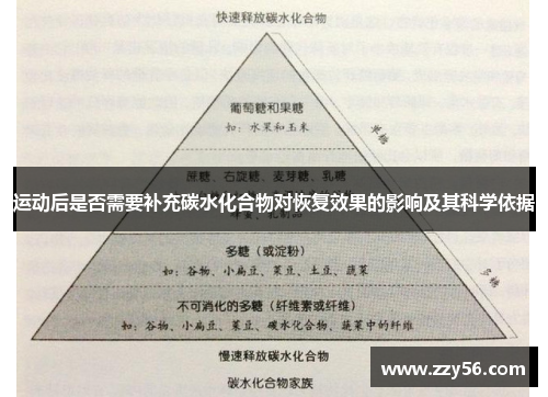 运动后是否需要补充碳水化合物对恢复效果的影响及其科学依据